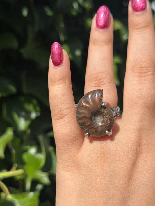 Ammonite Shell Ring ( 2 Options)