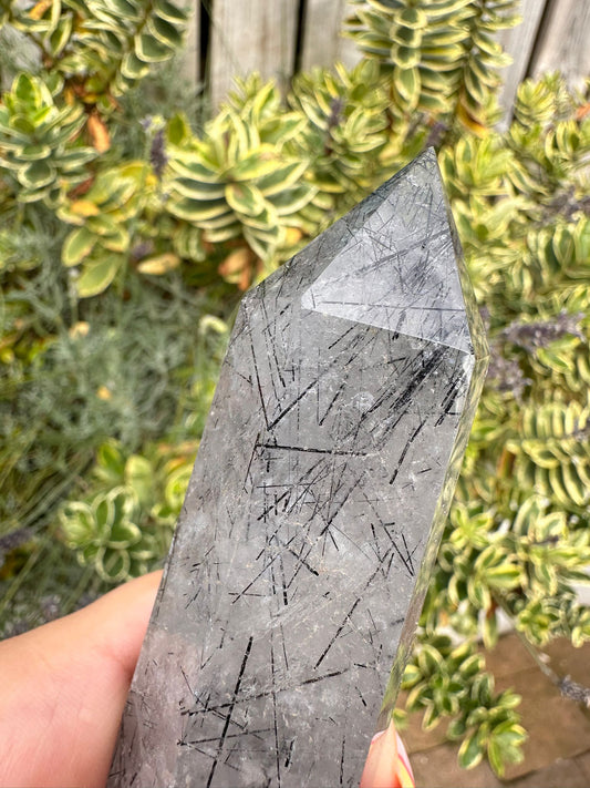 Tourmalinated Quartz