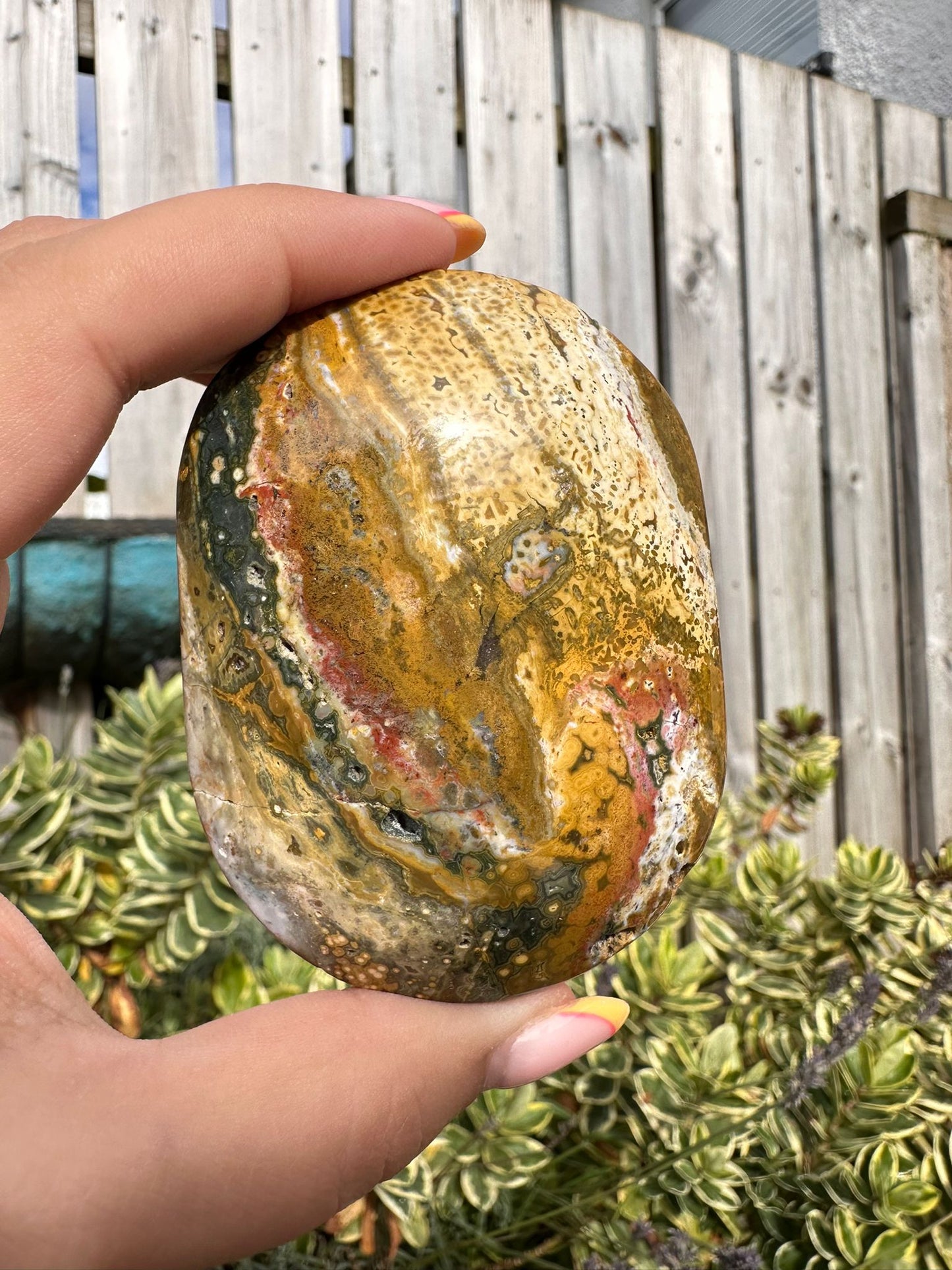 OceanJasper