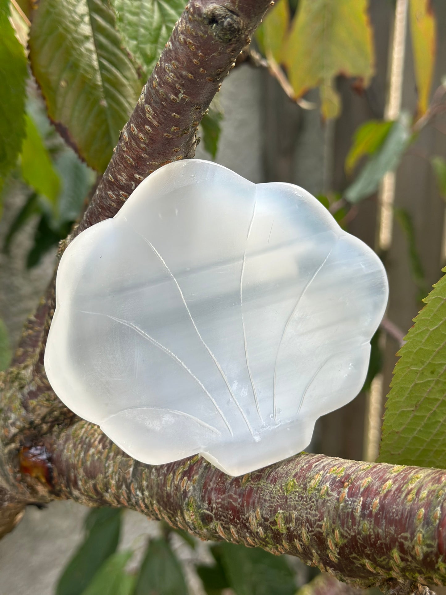 Selenite Jewellery Dish
