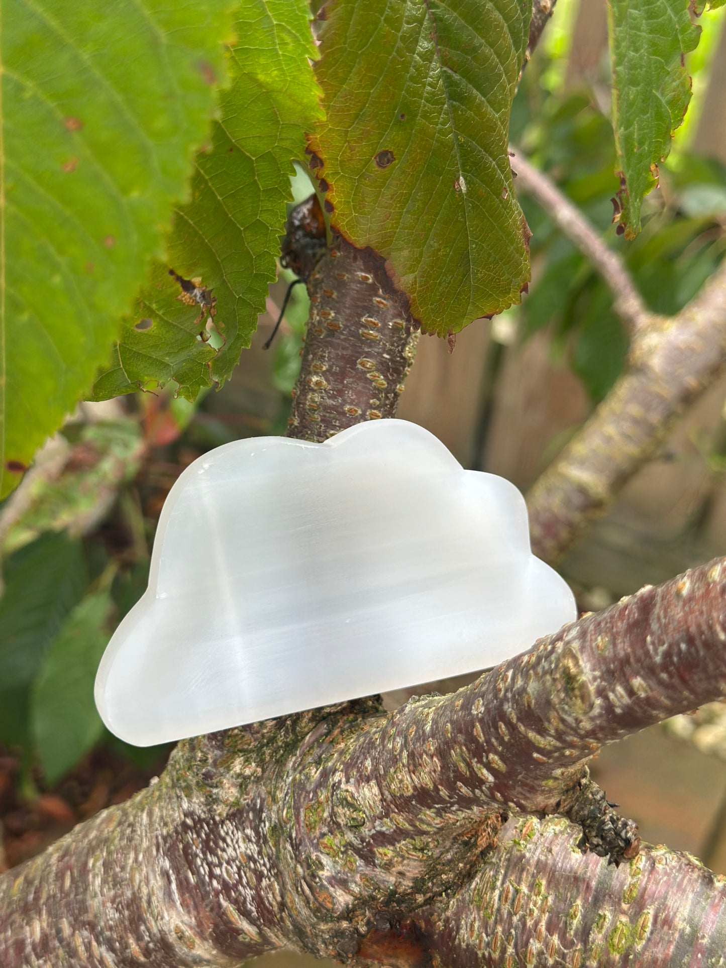 Selenite Jewellery Dish