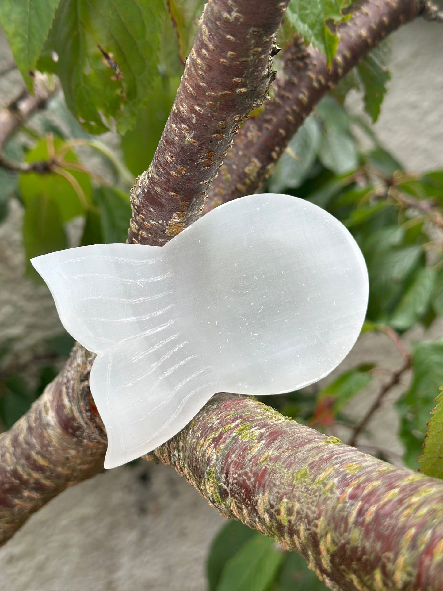 Selenite Jewellery Dish