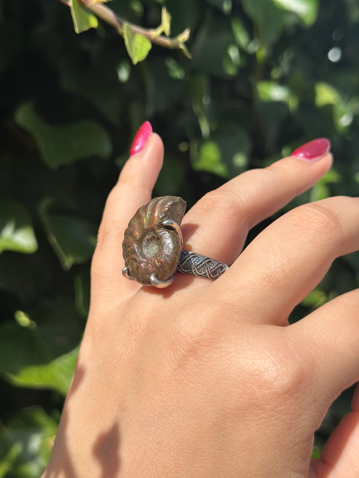 Ammonite Shell Ring ( 2 Options)