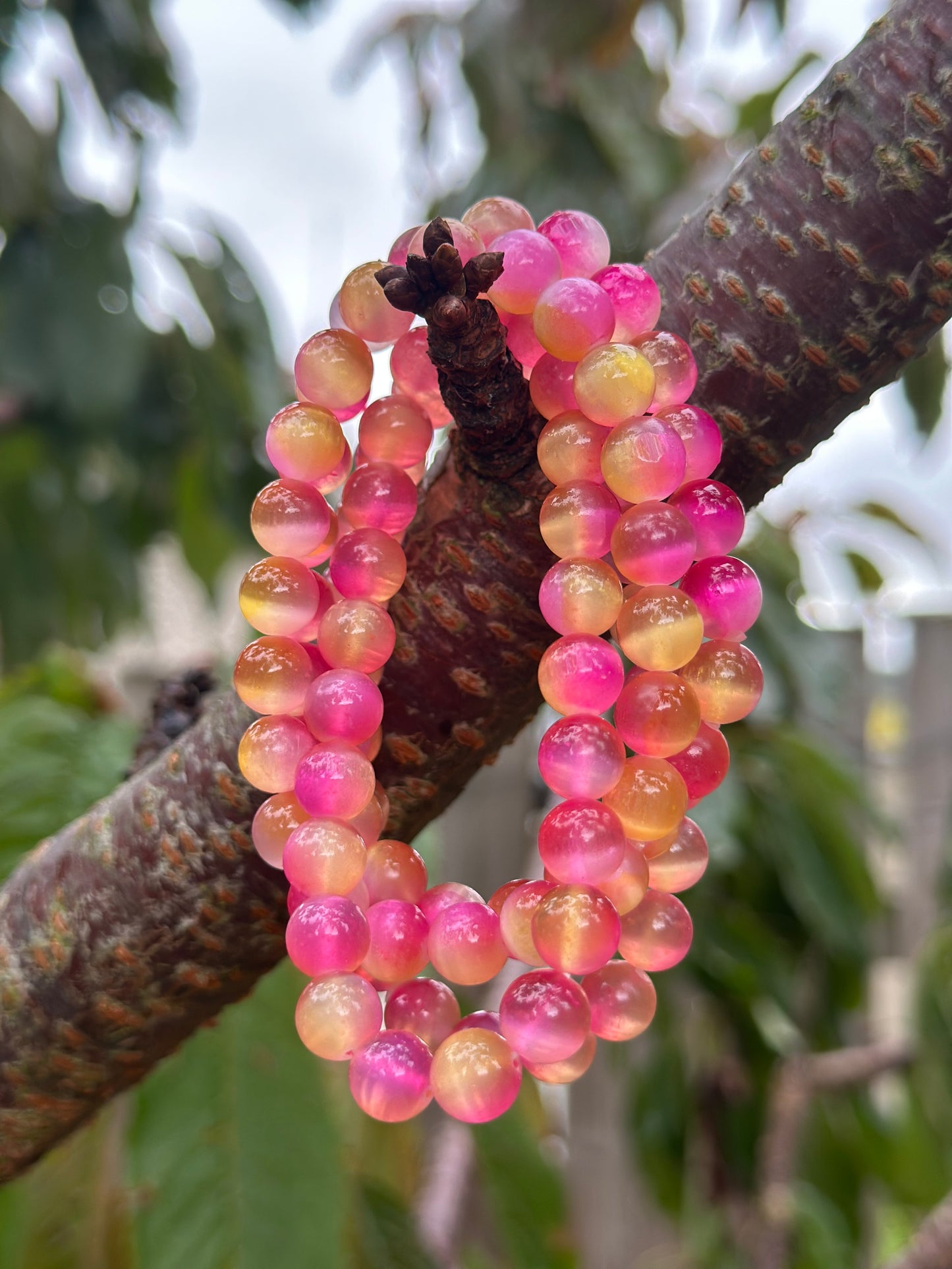 Selenite (9 options available)