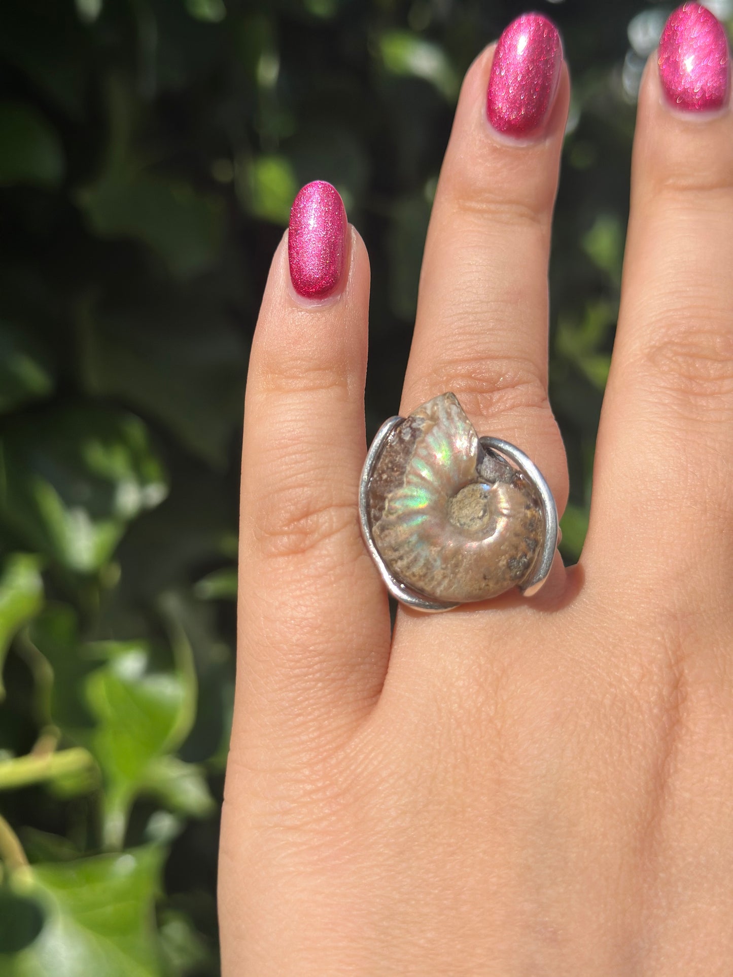 Ammonite Shell Ring ( 2 Options)