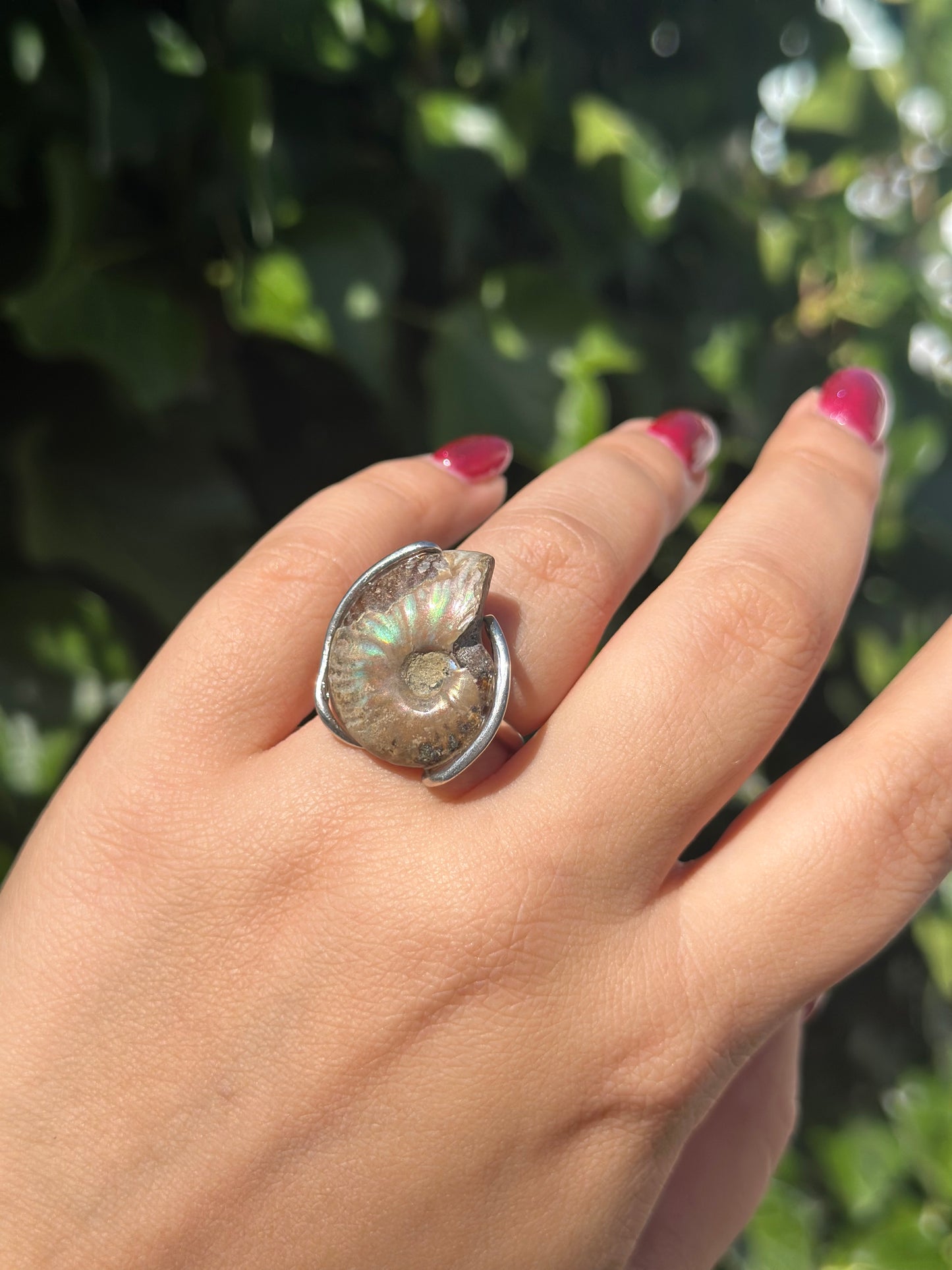Ammonite Shell Ring ( 2 Options)