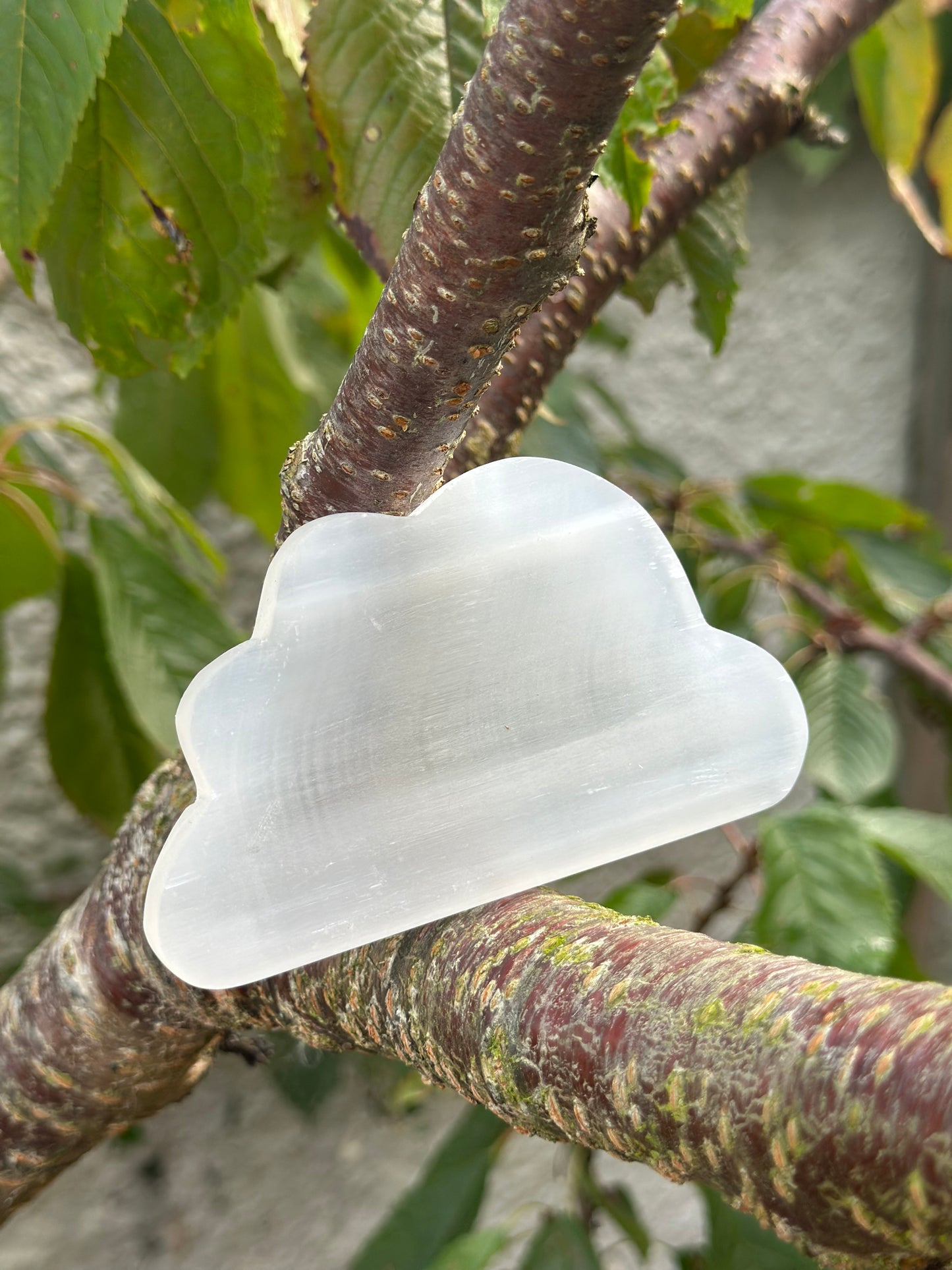 Selenite Jewellery Dish