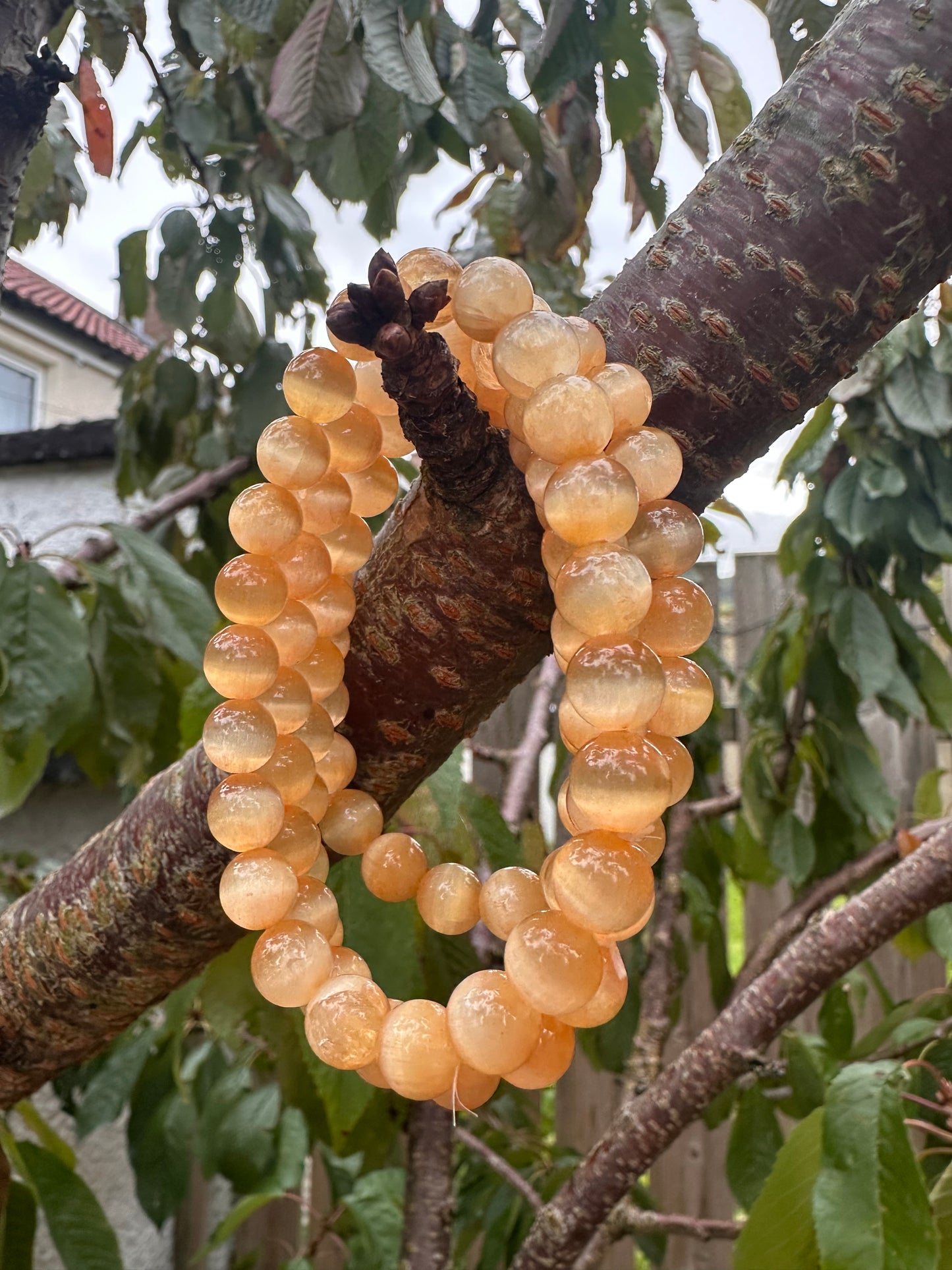 Selenite (9 options available)