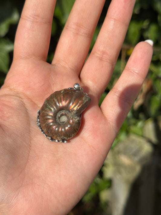 Ammonite Pendant