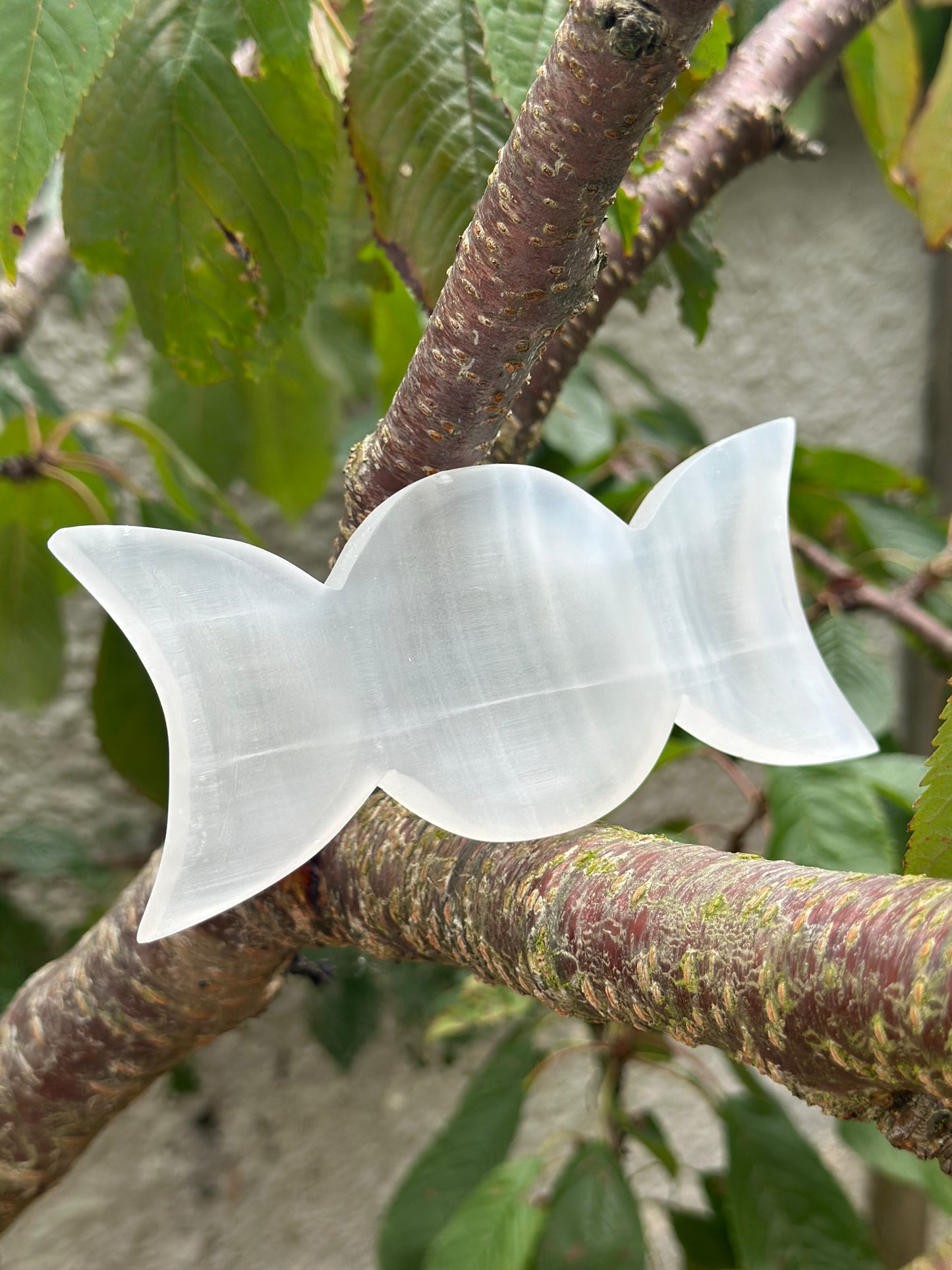 Selenite Jewellery Dish