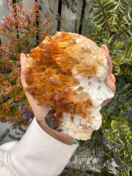 Burmese Quartz Skull