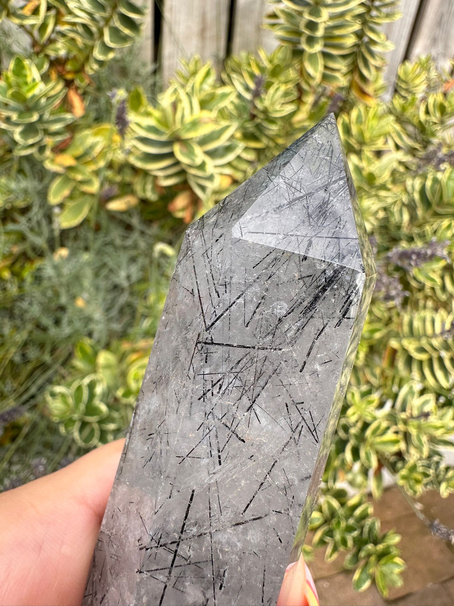 Tourmalinated Quartz