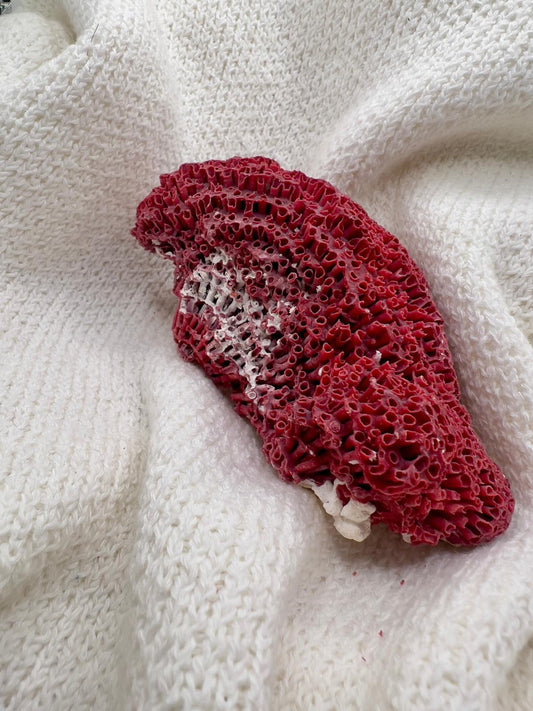 Natural Red Coral