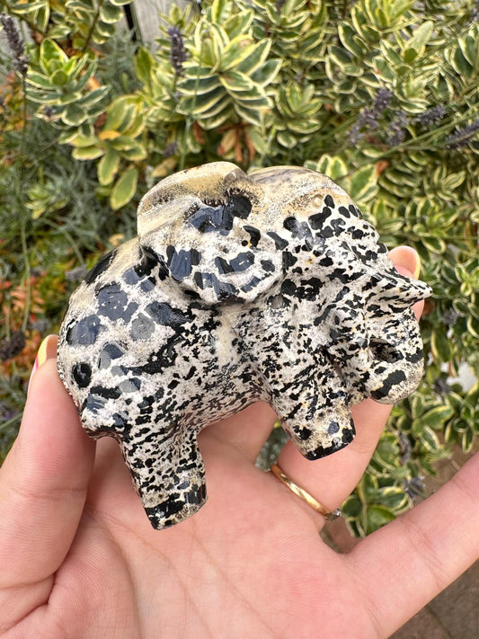 Picture Jasper Elephant