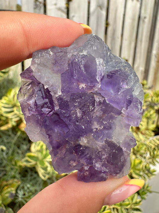 Purple Flourite