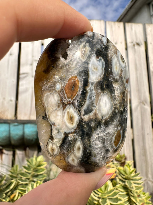 Druzy Ocean Jasper Oval
